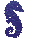 Seahorse 1
