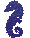 Seahorse 2